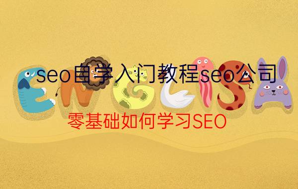 seo自学入门教程seo公司 零基础如何学习SEO？